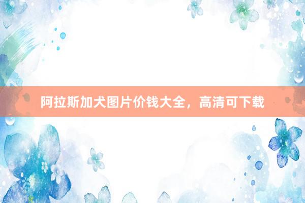 阿拉斯加犬图片价钱大全，高清可下载