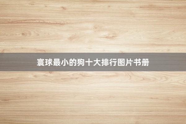 寰球最小的狗十大排行图片书册